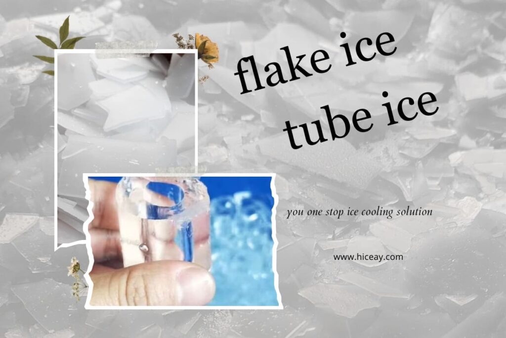 Flake Ice Machine vs Tube Ice Machine Choice