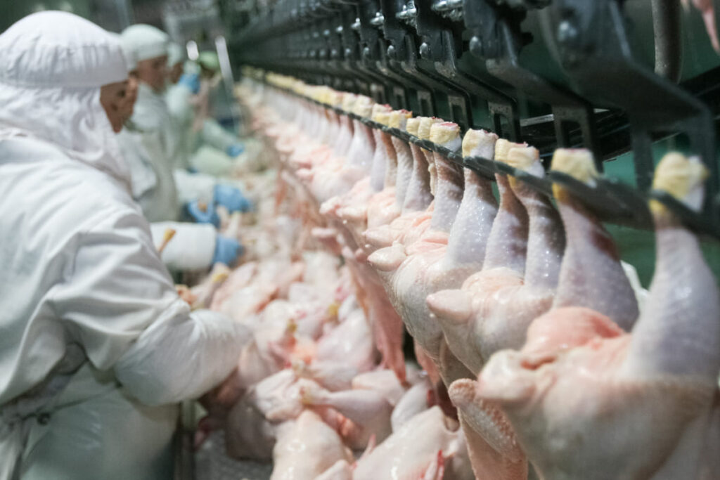 How Ice Chilling Solution Extends Poultry Shelf Life