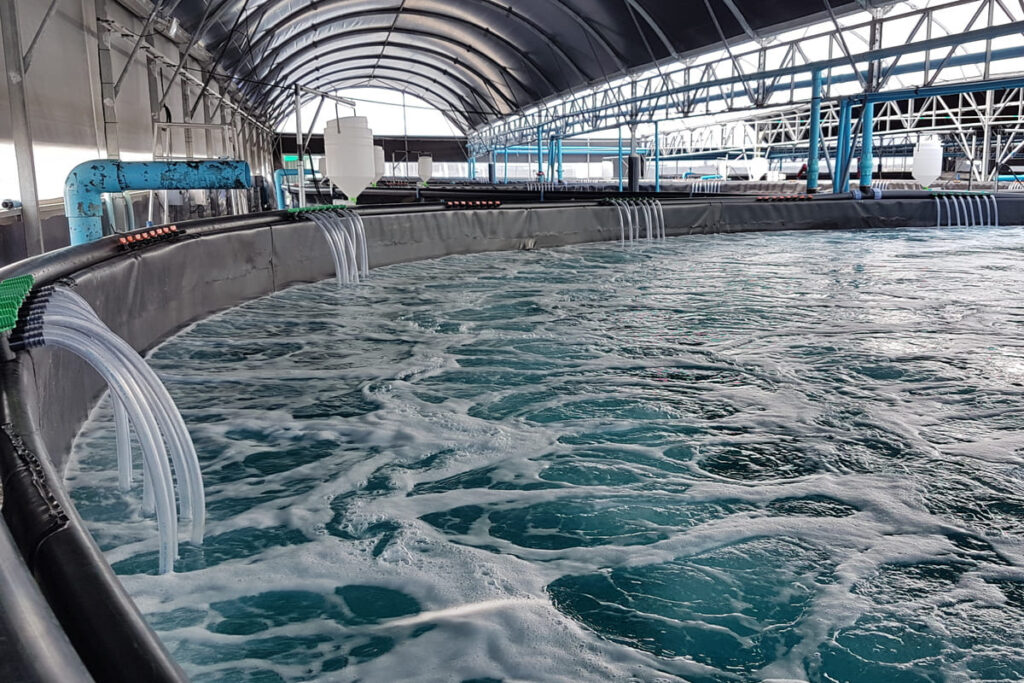 Top 10 Benefits of Flake Ice in Aquaculture