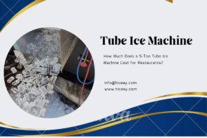 Tube Ice Machine cost