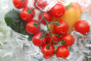 Why is Tube Ice Better for Preserving Vegetables and Fruits